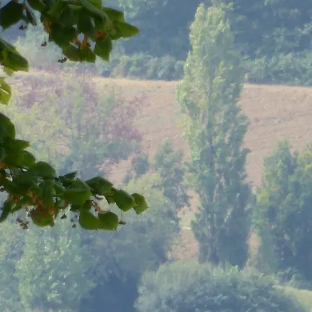 בית הארחה D'hotes Saint Roch 3*